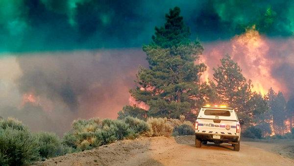 Algeria:[-]Hơn[-]34.000[-]ha[-]rừng[-]bị[-]ch&aacute;y[-]mỗi[-]năm